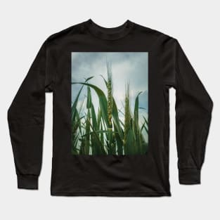 wheat crop Long Sleeve T-Shirt